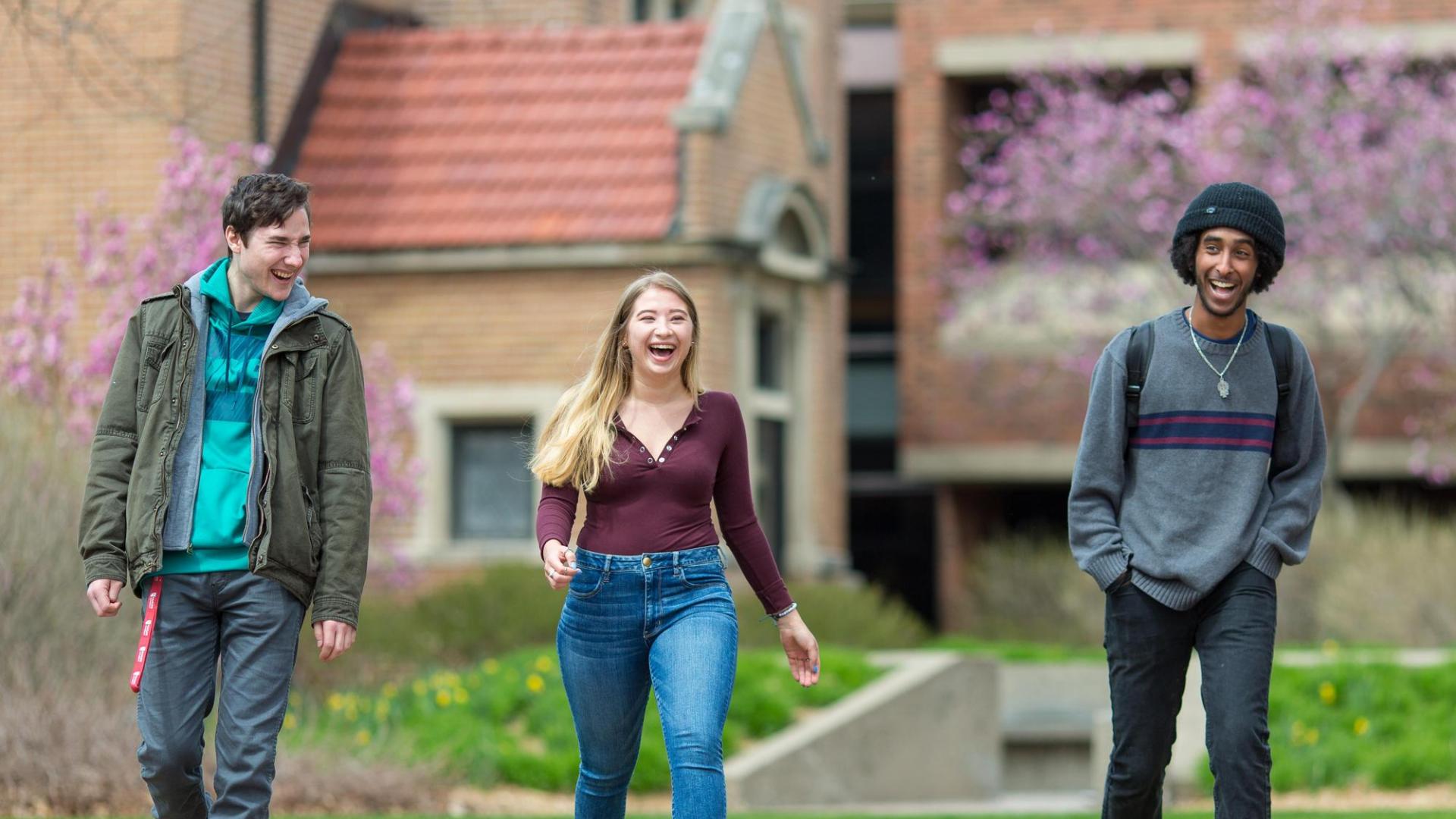 three students walking on  campus in spring, with flowering trees